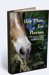 Hay Plud Book